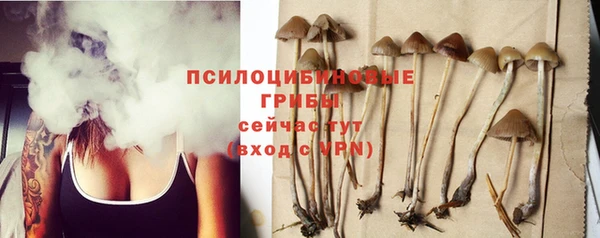 спайс Гусев
