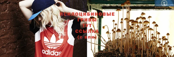 спайс Гусев