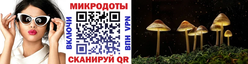 Галлюциногенные грибы Psilocybine cubensis  Купить  Нестеровская 